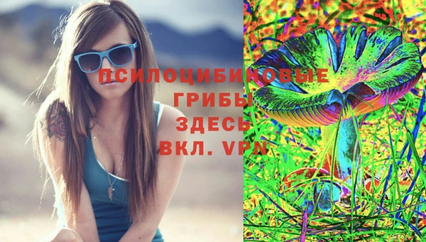 спиды Нефтекумск